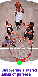 Team Development